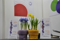 LBM_20190321_0