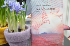 LBM_20190324_11